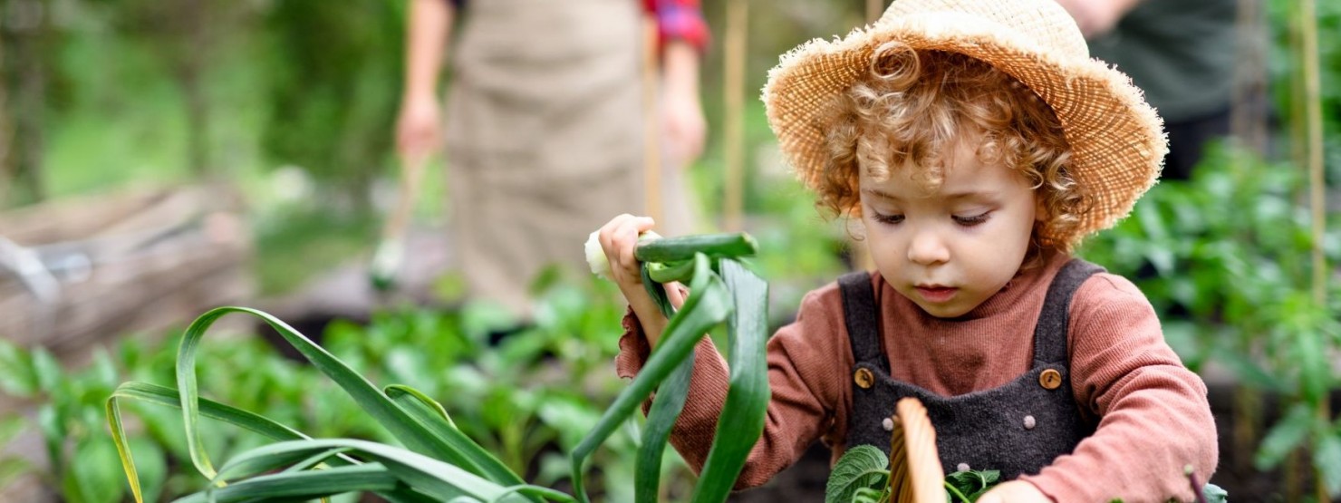 Gemüsegarten für Kinder AOK SachsenAnhalt